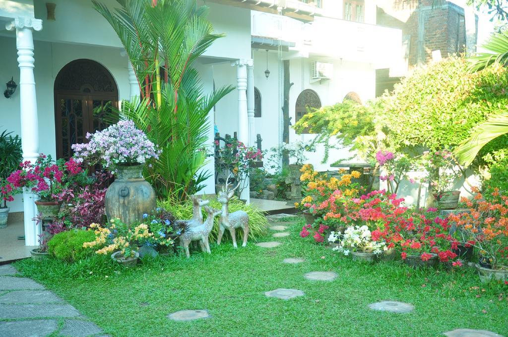 Hotel Angel Rest Mirissa Exterior foto
