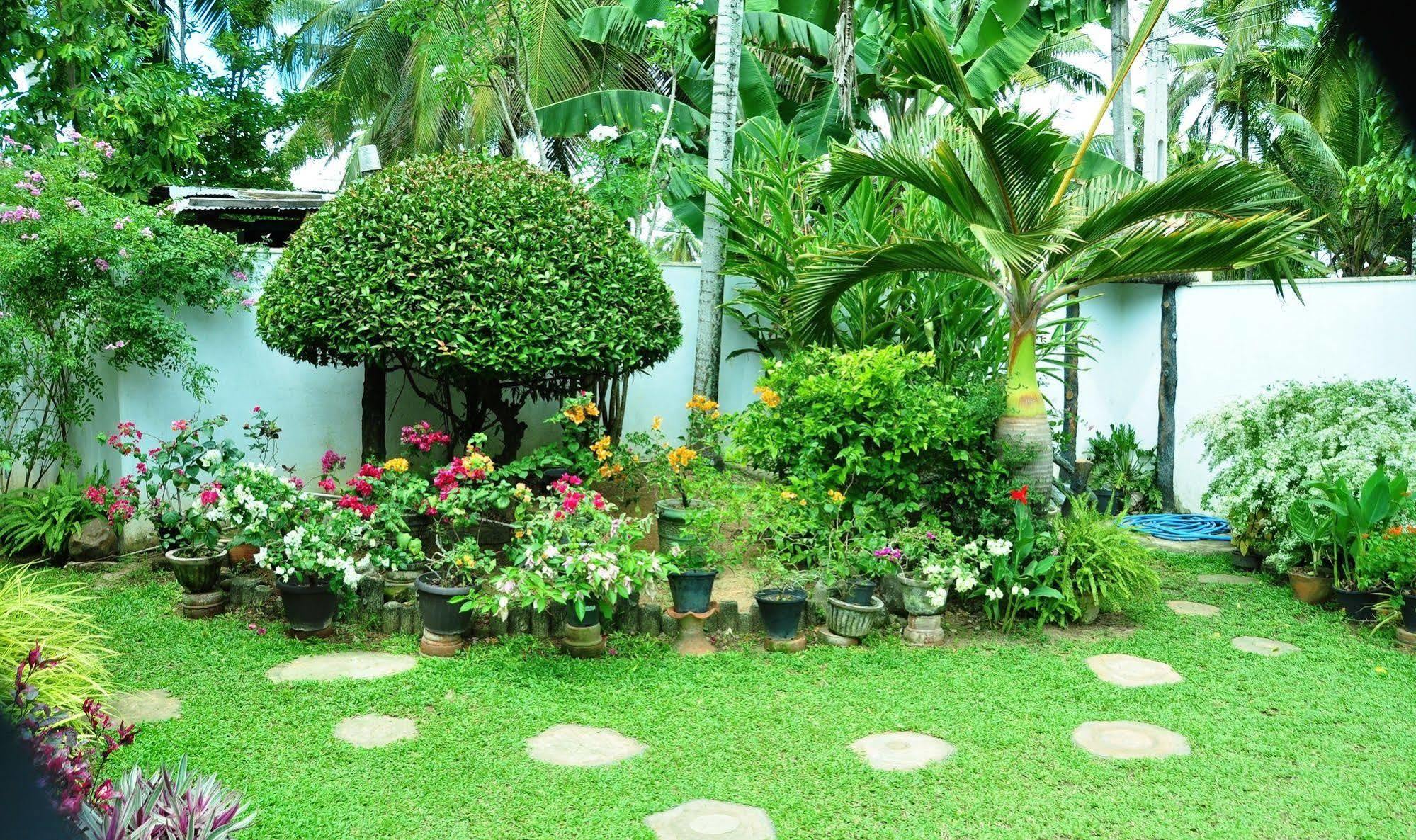 Hotel Angel Rest Mirissa Exterior foto